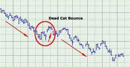 Penjelasan Dead Cat Bounce